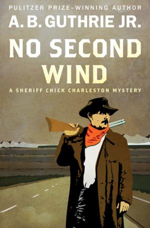Cover of the book No Second Wind by Walter Lord