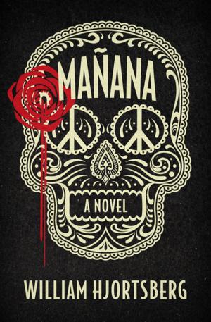 Cover of the book Mañana by Damien Lewis