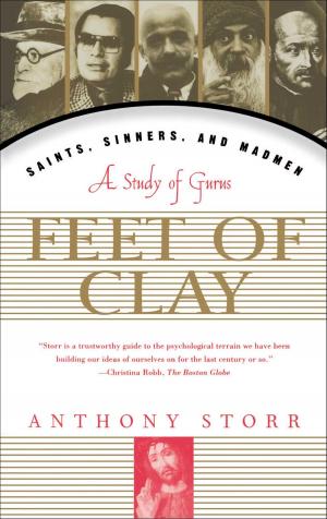 Book cover of Feet Of Clay