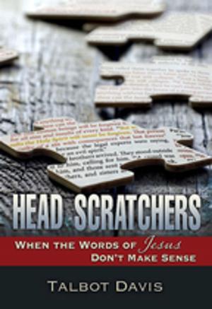 bigCover of the book Head Scratchers by 