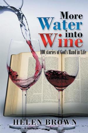 Cover of the book More Water into Wine by Rob Hulbert