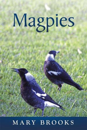 Book cover of Magpies