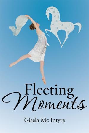 Cover of the book Fleeting Moments by Memory Dete-Mawere