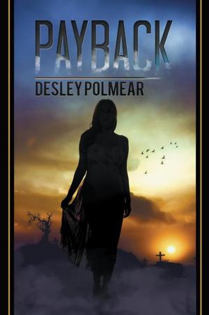Cover of the book Payback by Mary Brooks