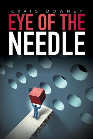 Cover of the book Eye of the Needle by Khadija Al-Shangiti