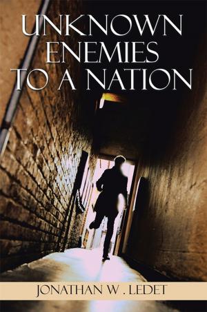 Cover of the book Unknown Enemies to a Nation by Vincent Thurman