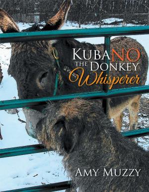 Cover of the book Kuba No the Donkey Whisperer by Brigitta Gisella Geltrich-Ludgate
