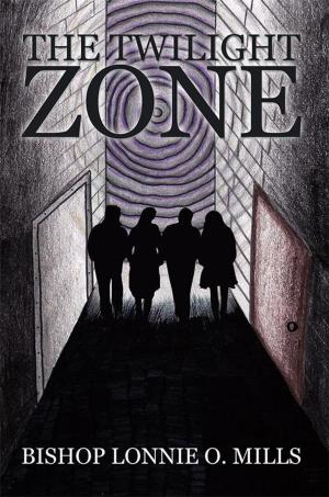 Cover of the book The Twilight Zone by Kirstin Burnham