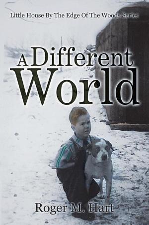 Book cover of A Different World