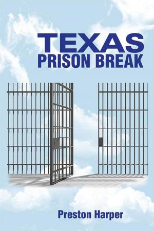 Cover of the book Texas Prison Break by Rolf Schroers