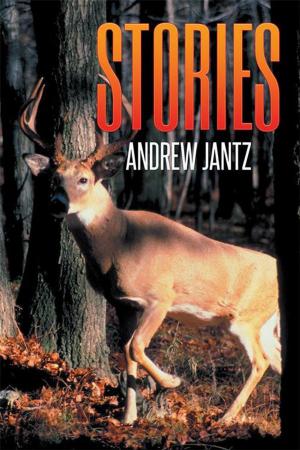 Cover of the book Stories by Levell Sanders