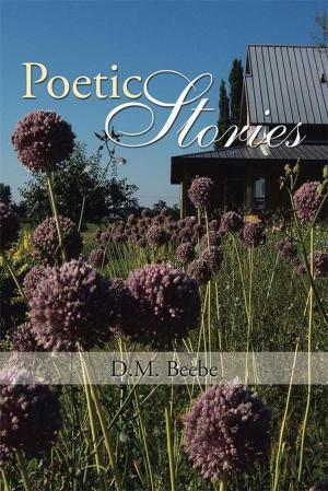 Cover of the book Poetic Stories by Jim Tumblin