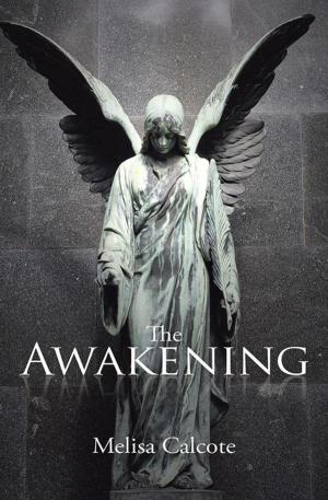 Cover of the book The Awakening by Crystal E. Smith