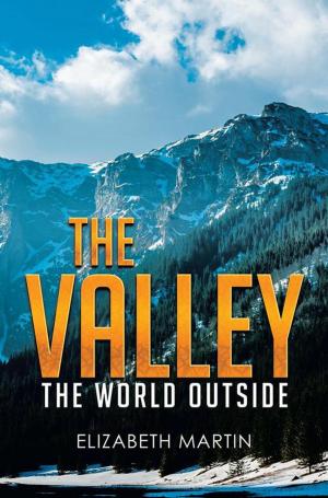 Cover of the book The Valley by J.N. Sadler