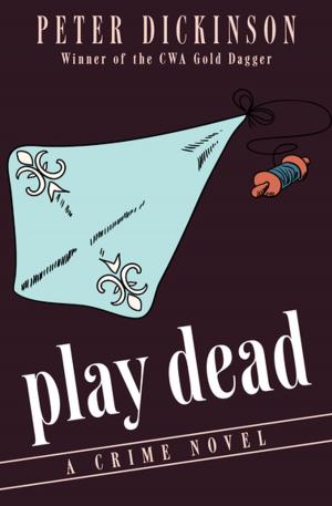 Cover of the book Play Dead by Jennifer Wilde