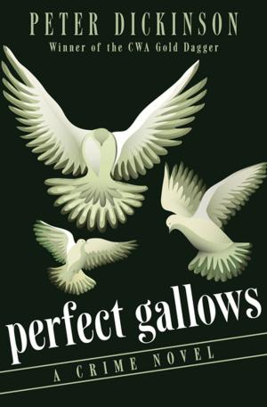 Cover of the book Perfect Gallows by J. Michael Orenduff