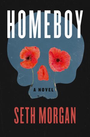 Cover of the book Homeboy by Patricia Potter