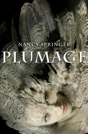 bigCover of the book Plumage by 