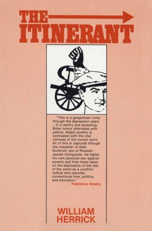 Cover of the book The Itinerant by Berry Fleming