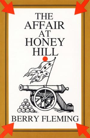 bigCover of the book The Affair at Honey Hill by 
