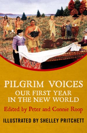 Book cover of Pilgrim Voices