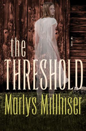 Cover of the book The Threshold by Dan E. Moldea