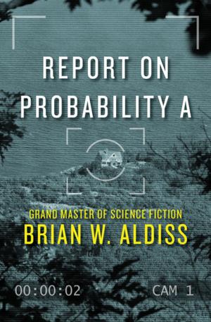 Cover of the book Report on Probability A by John Dinges, Saul Landau
