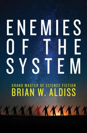 Cover of the book Enemies of the System by Ann M. Martin