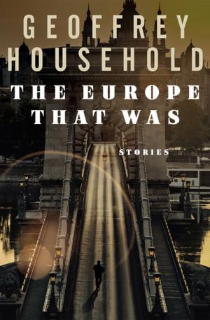 Cover of the book The Europe That Was by John R. Tunis