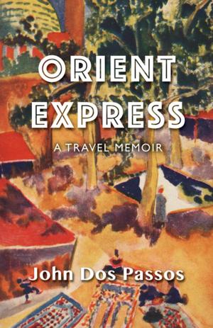 Cover of the book Orient Express by Susan Allport