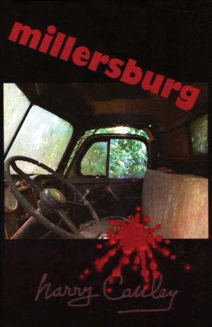 Book cover of Millersburg