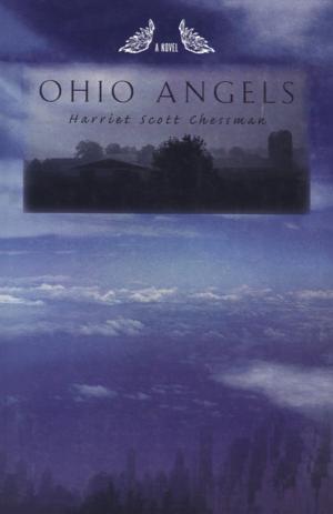 Cover of the book Ohio Angels by Howard Owen