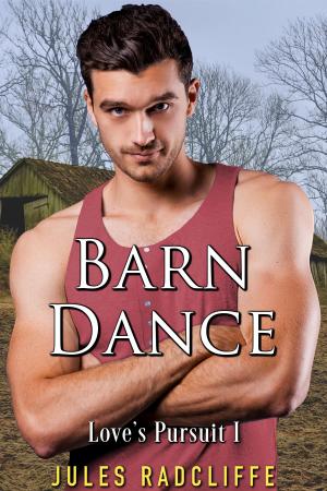 Cover of the book Barn Dance by Candace Blevins