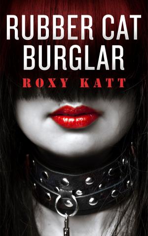 Book cover of Rubber Cat Burglar