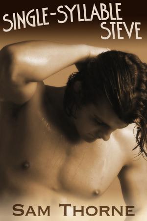 Cover of the book Single-Syllable Steve by Selena Kitt