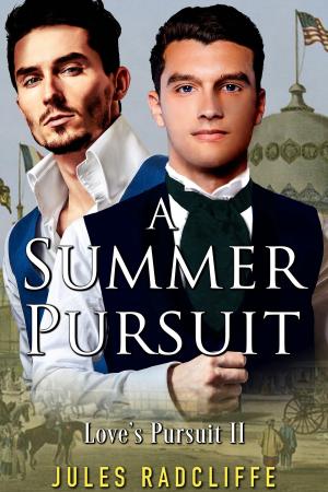 Book cover of A Summer Pursuit