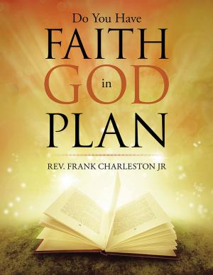 Book cover of Do You Have Faith in God Plan