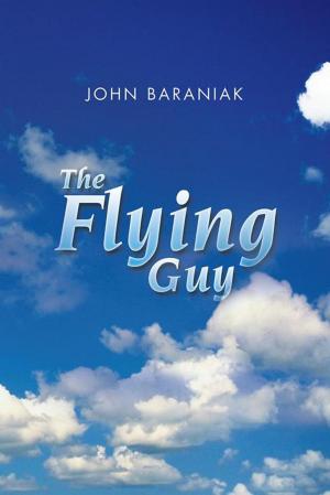 Cover of the book The Flying Guy by Daniel V. Schranger