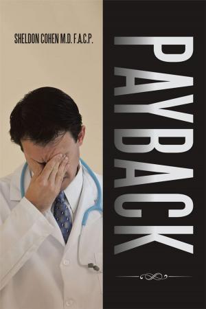 Cover of the book Payback by Stephany Brandt
