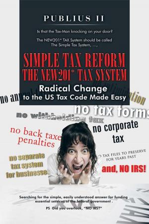 bigCover of the book Simple Tax Reform - the New201* Tax System by 