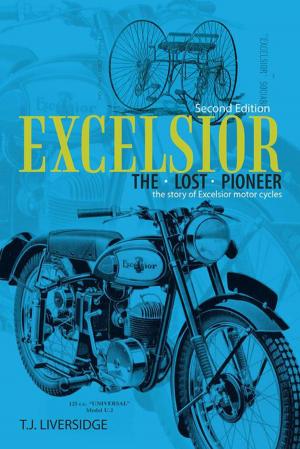Cover of the book Excelsior the Lost Pioneer by Prince Dibeela