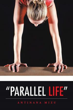 Cover of the book “Parallel Life” by Stephen Bridgman MBE