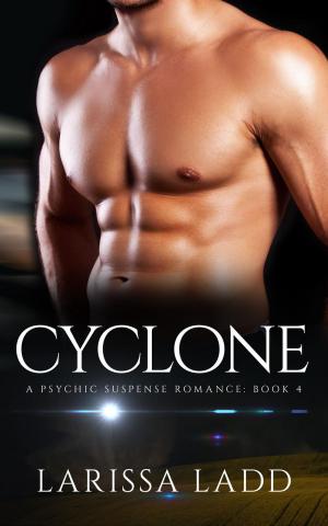 Cover of the book Cyclone by Chris Schilver