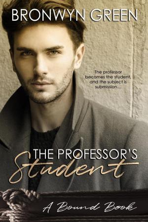 Cover of the book The Professor's Student by T. A. Moorman