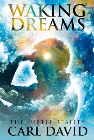 Cover of the book Waking Dreams by Rick Jetter