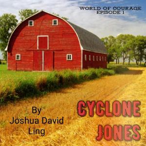 Book cover of Cyclone Jones