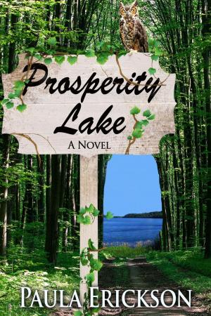 Book cover of Prosperity Lake
