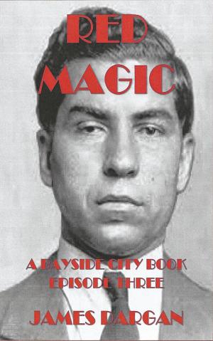 Cover of the book Red Magic by N. R. McCarthy