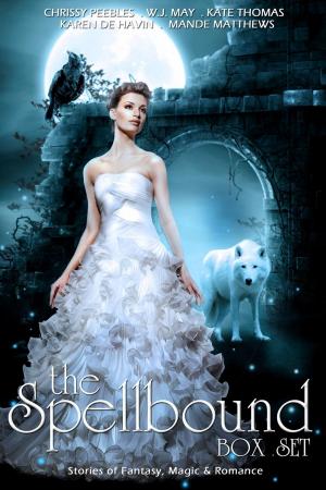 Cover of the book The Spellbound Box Set: 8 Fantasy stories including Vampires, Werewolves, Steam Punk, Magic, Romance, Blood Feuds, Alphas, Medieval Queens, Celtic Myths, Time Travel, and More! by Chrissy Peebles
