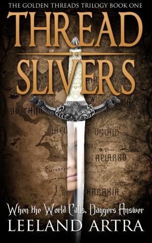 Cover of the book Thread Slivers by Dylan Doose